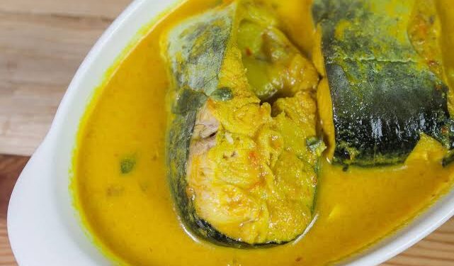Rahasia Resep Gulai Ikan Patin Tempoyak yang Berbumbu Rempah Sedap
