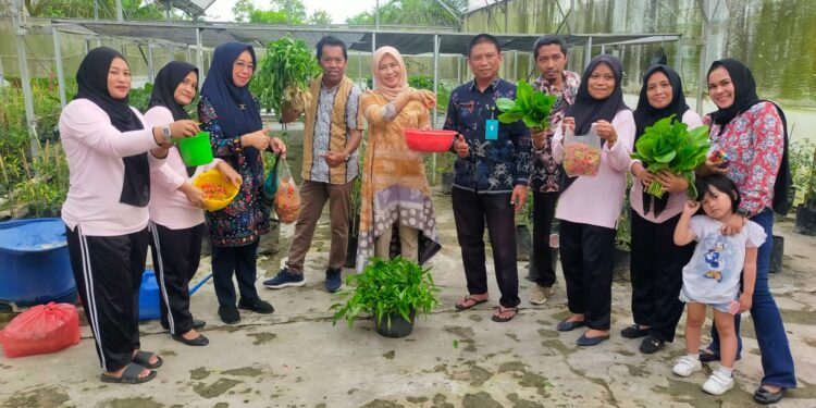Ketua TP PKK PPU Ajak Masyarakat Sulap Pekarangan Jadi Lahan Produktif