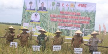 Hamdam Minta Stop Alih Fungsi Lahan Pertanian di PPU