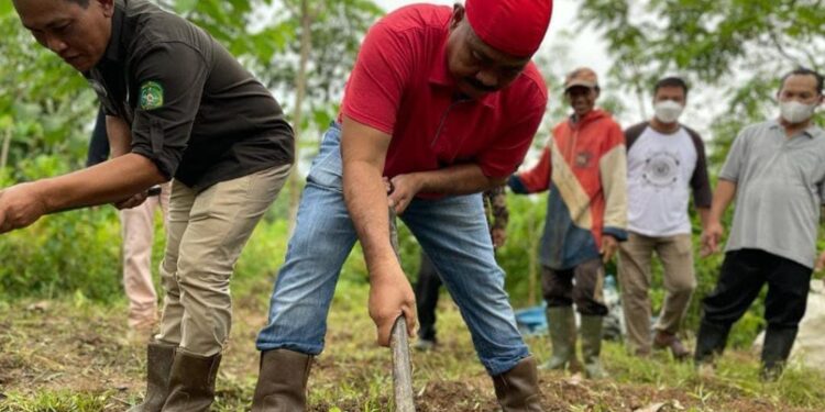 Seluruh Desa di Kukar Bakal Wajib Tanam Bibit Pohon Endemik 