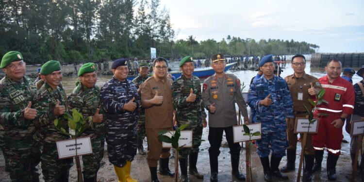 Pangdam VI/Mlw Ikuti Puncak Penanaman Mangrove Nasional Serentak di Pantai Lamaru