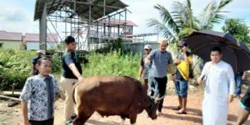 KNPI Kutim Sembelih Hewan Kurban