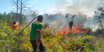 Cegah Meluasnya Karhutla, Personel Brimob Kaltim Tangani Kemunculan Titik Api