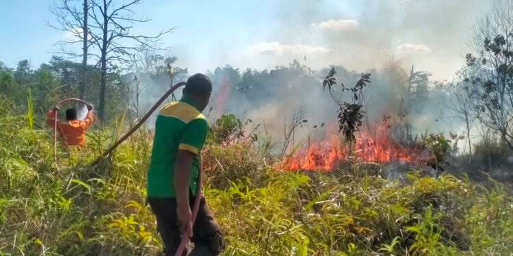 Cegah Meluasnya Karhutla, Personel Brimob Kaltim Tangani Kemunculan Titik Api