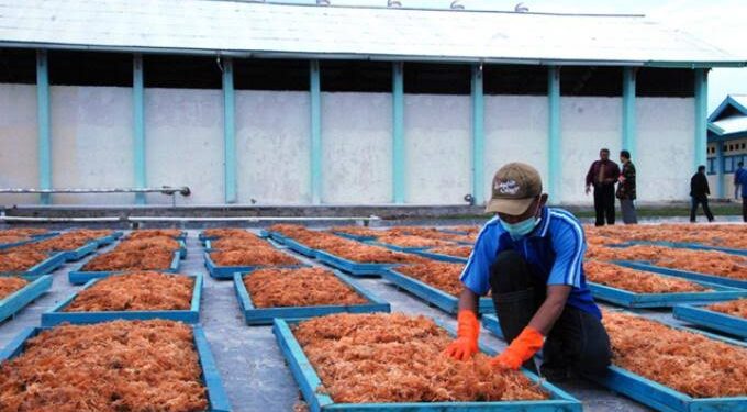 Pemkab Kukar Alokasikan Rp 22 Miliar untuk Mesin Pabrik Rumput Laut