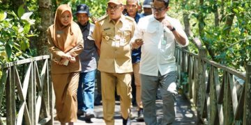 Revitalisasi Ekowisata Mangrove di Kelurahan Kampung Baru: Penyelamatan Lingkungan dan Peluang Pariwisata