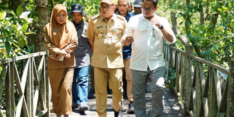 Revitalisasi Ekowisata Mangrove di Kelurahan Kampung Baru: Penyelamatan Lingkungan dan Peluang Pariwisata