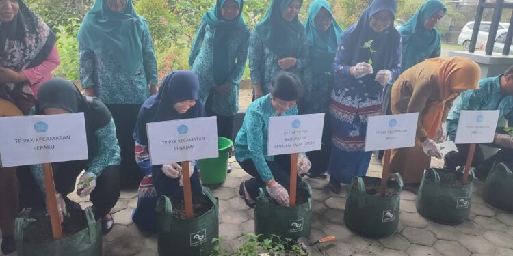 Revitalisasi Pertanian Lokal, Gerakan Tanam Cabai Serentak Menggoyang Paradigma di Penajam Paser Utara