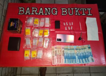 Sat Resnarkoba Amankan Pengedar Narkotika Jenis Sabu di Perum Desa Jone