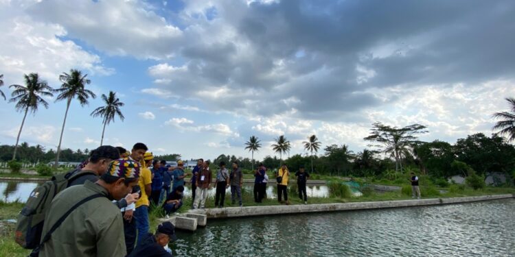 Pembudidaya Ikan PPU Diberi Pelatihan Budidaya Nilasa, Potensi Cuan Besar Menanti