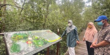 Progres Revitalisasi Ekowisata Mangrove Kampung Baru PPU Capai 25%, Ditargetkan Selesai Akhir Tahun