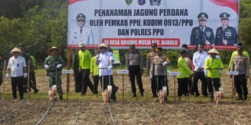 Pj Bupati PPU Tanam Jagung Perdana Bersama TNI Polri, Dorong Pemanfaatan Lahan Produktif