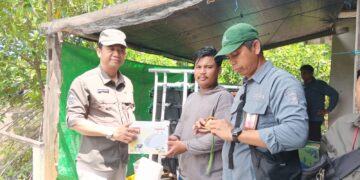 Diskan Jadikan Kepiting Bakau Ikon PPU