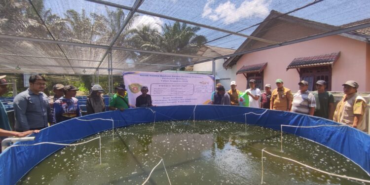 Diskan PPU Salurkan Bantuan Budi Daya Ikan Patin untuk Pokdakan Sebakung Jaya