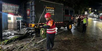 Gerak Cepat Brimob Bantu Evakuasi Pohon Tumbang di Karangrejo Balikpapan