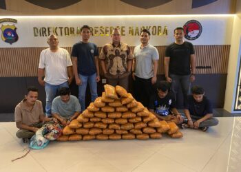 Polisi Gagalkan Peredaran 47 Kilogram Ganja di Sumatera Barat, Empat Tersangka Diamankan