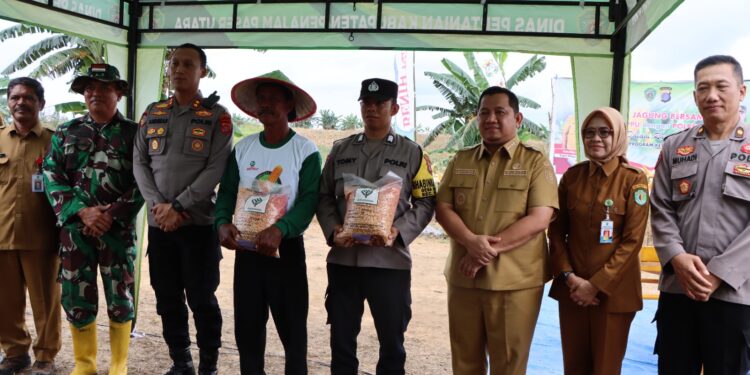 Bupati dan Kapolres PPU Panen dan Tanam Jagung Perdana, Dorong Hilirisasi Pertanian