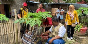 Dukung Kemandirian Pangan, Dinas Ketahanan Pangan PPU Dorong Pemanfaatan Pekarangan Lewat Program P2L