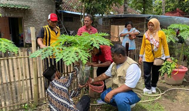 Dukung Kemandirian Pangan, Dinas Ketahanan Pangan PPU Dorong Pemanfaatan Pekarangan Lewat Program P2L