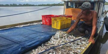 Produksi Perikanan Budidaya PPU Tembus 4.700 Ton Awal 2025