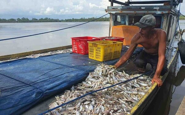 Produksi Perikanan Budidaya PPU Tembus 4.700 Ton Awal 2025