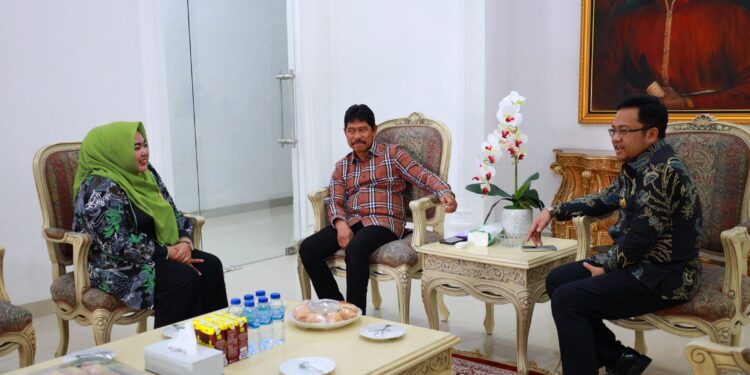 Pelajari Strategi Pembangunan dan Tata Kelola Pemerintahan