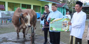 Bupati Mudyat Noor Serahkan Bantuan Sapi Kurban Presiden untuk Masjid Al-Ikhlas Jelang Idul Adha 1446 H