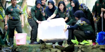 Hijaukan Alam Kaltim, Pangdam VI/Mlw Tebar Ribuan Benih Ikan dan Lepas Satwa di Balikpapan