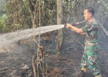 Prajurit Brigif TP 85/BTC Sigap Atasi Karhutla, 4 Hektare Lahan Warga Terbakar di Kubar