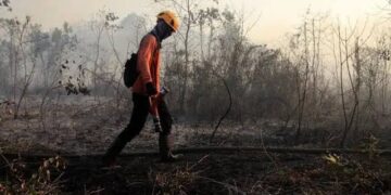 Karhutla Kaltim Meningkat, BPBD Perkuat Pencegahan di Tengah Musim Kemarau